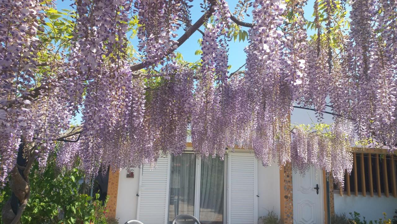 Casa Dos Gansos Villa Perais Eksteriør bilde