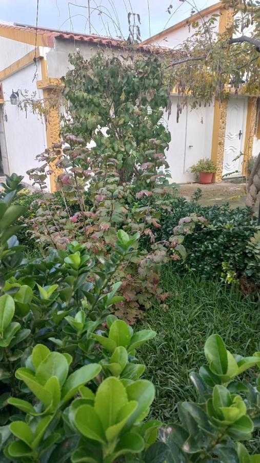 Casa Dos Gansos Villa Perais Eksteriør bilde